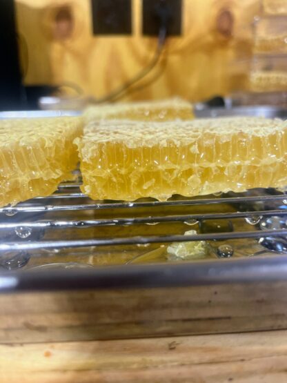 spring cut honeycomb